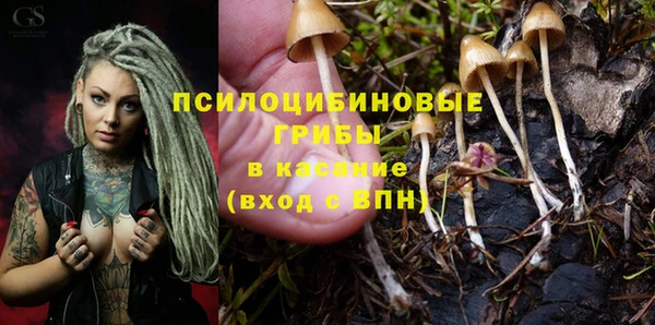 гашиш Беломорск