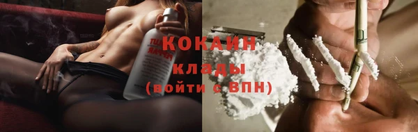 шишки Белоозёрский