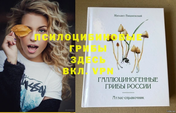 ГАЛЛЮЦИНОГЕННЫЕ ГРИБЫ Богданович