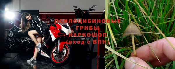 шишки Белоозёрский