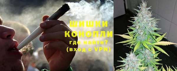 шишки Белоозёрский